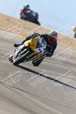 media/Jan-14-2024-SoCal Trackdays (Sun) [[2e55ec21a6]]/Turns 9 and 8 (10am)/